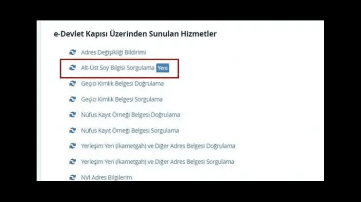 e-Devlet hizmet listesinde Alt-Üst Soy Bilgisi Sorgulama seçeneği